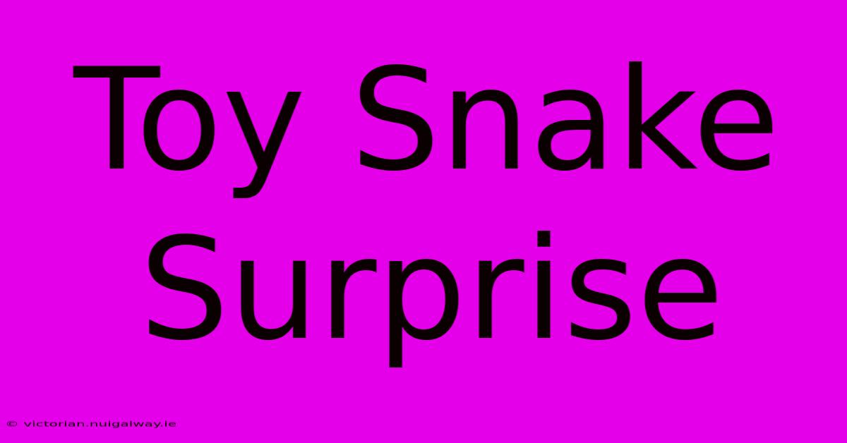 Toy Snake Surprise