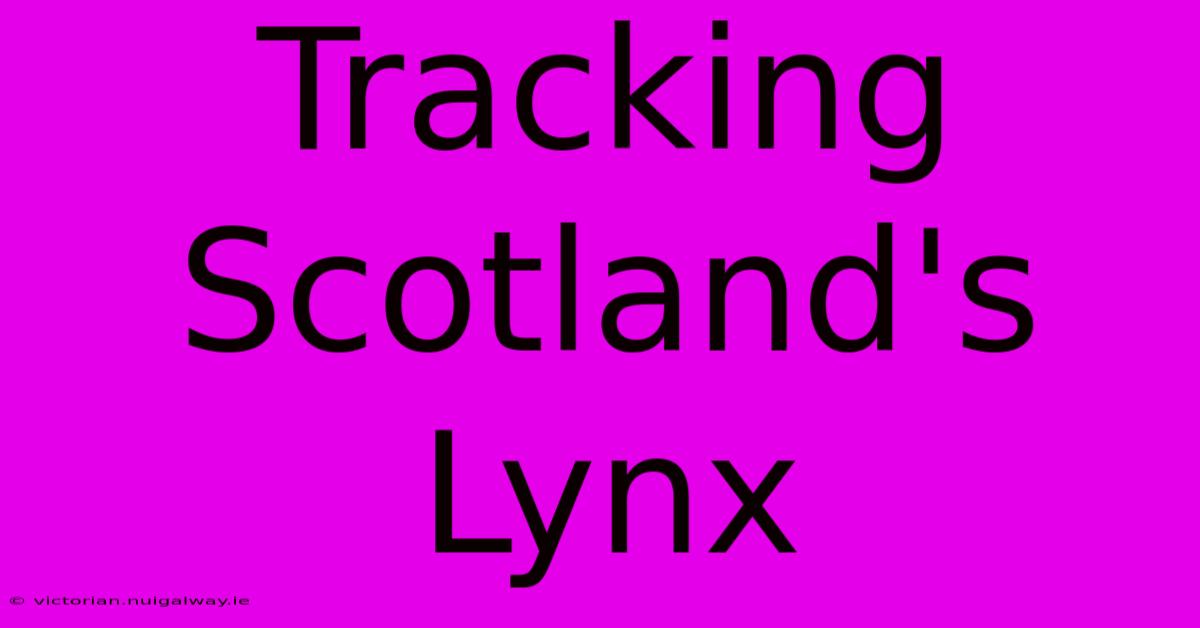 Tracking Scotland's Lynx