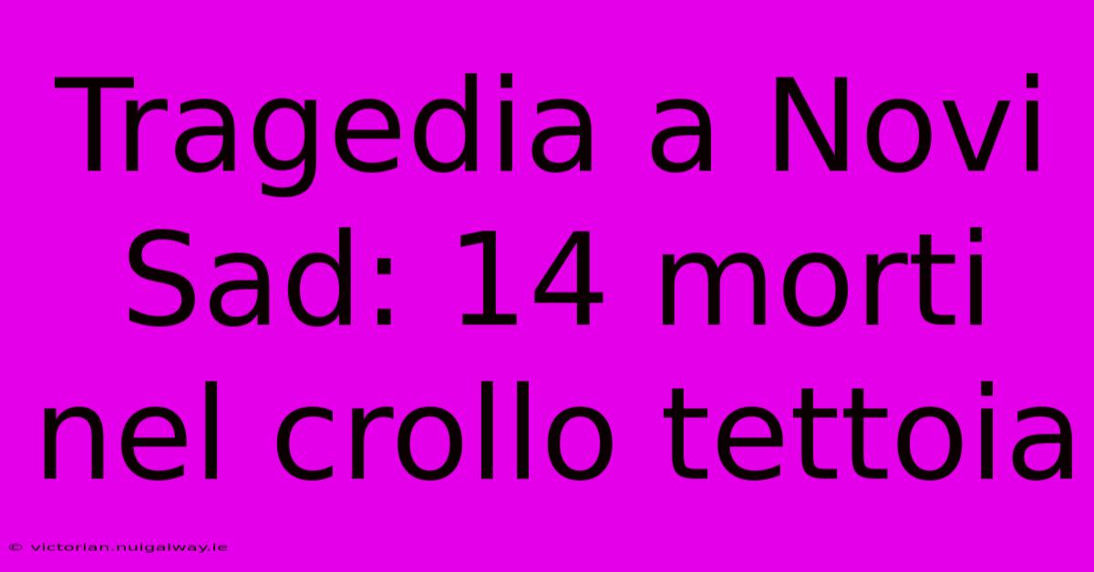 Tragedia A Novi Sad: 14 Morti Nel Crollo Tettoia