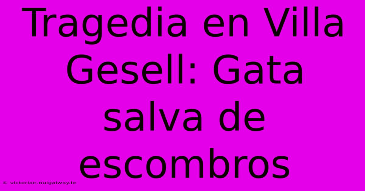 Tragedia En Villa Gesell: Gata Salva De Escombros