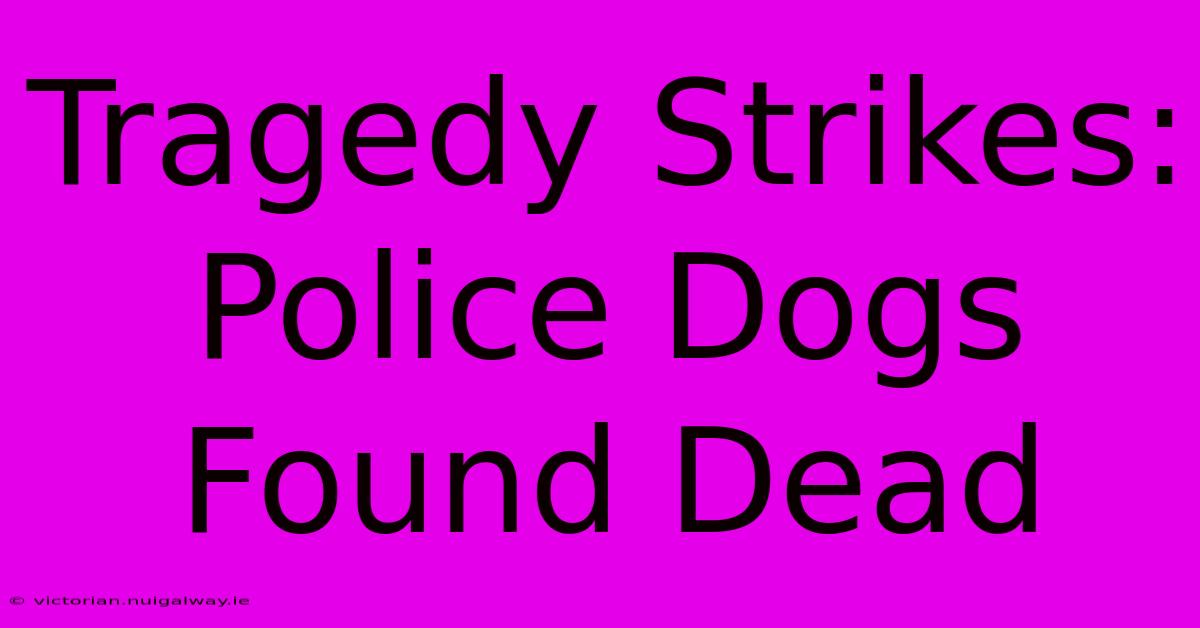 Tragedy Strikes: Police Dogs Found Dead