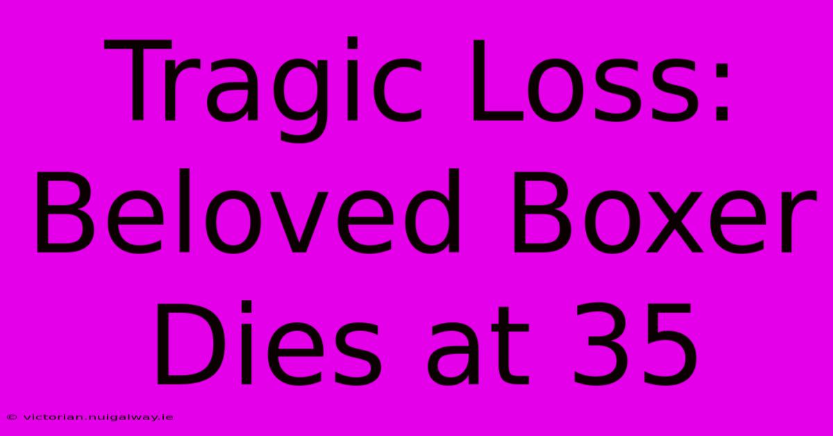 Tragic Loss: Beloved Boxer Dies At 35