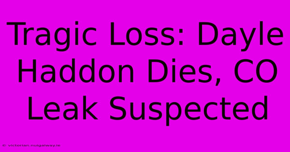 Tragic Loss: Dayle Haddon Dies, CO Leak Suspected