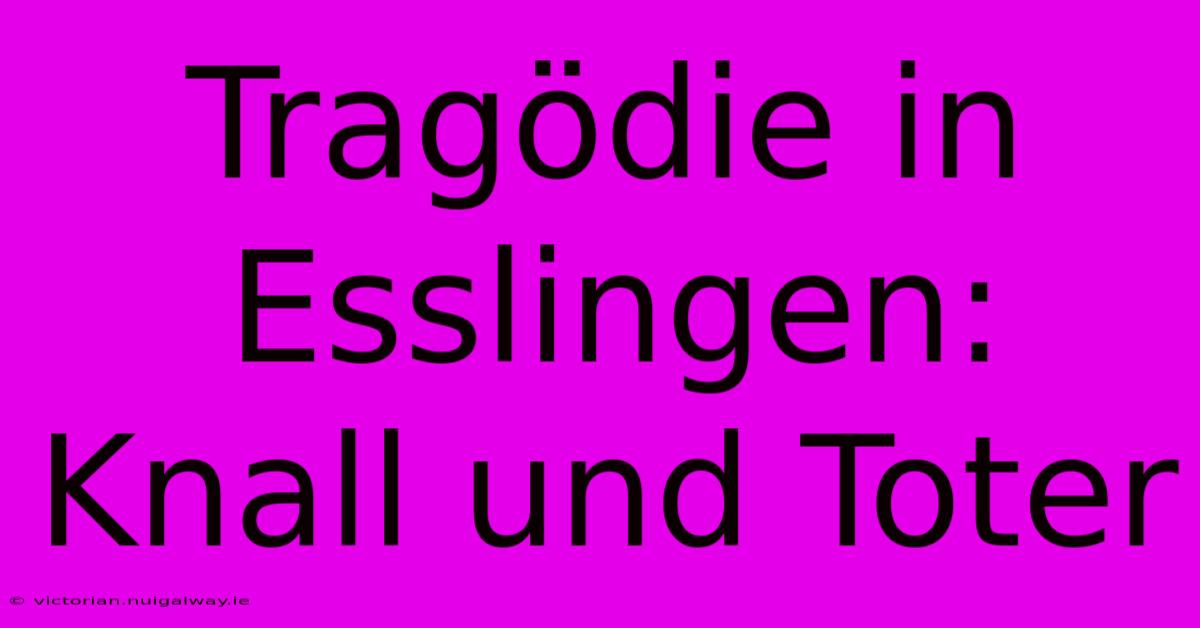 Tragödie In Esslingen: Knall Und Toter 