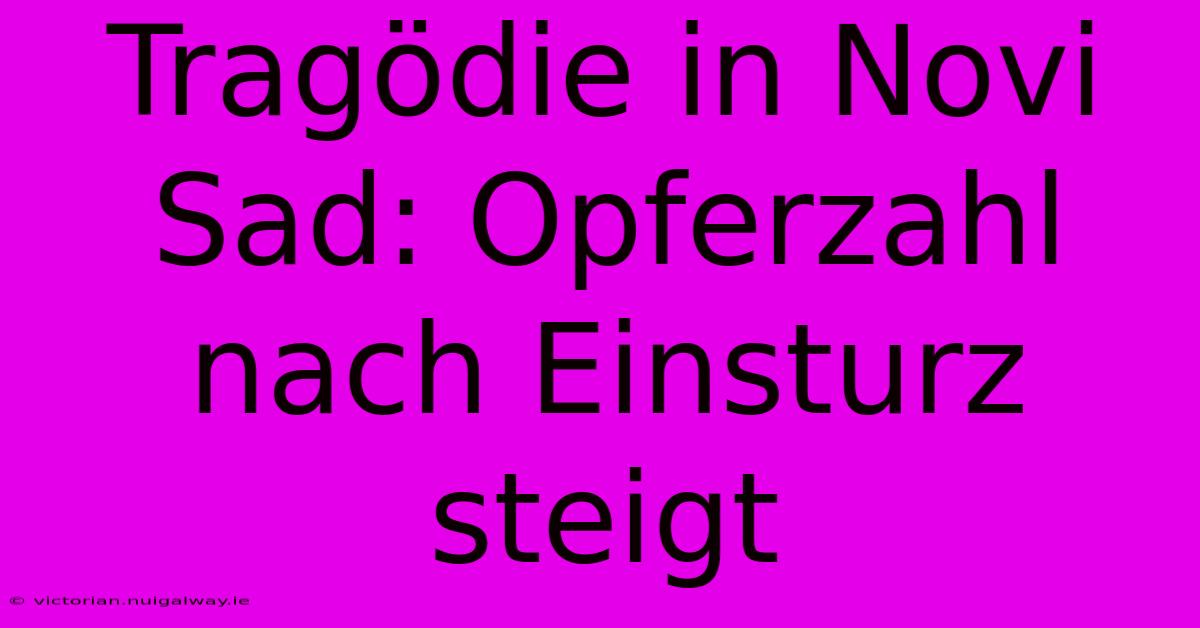 Tragödie In Novi Sad: Opferzahl Nach Einsturz Steigt