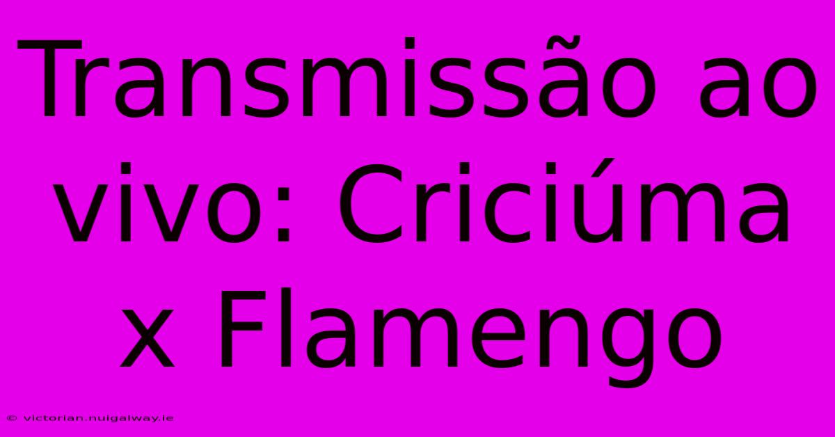 Transmissão Ao Vivo: Criciúma X Flamengo