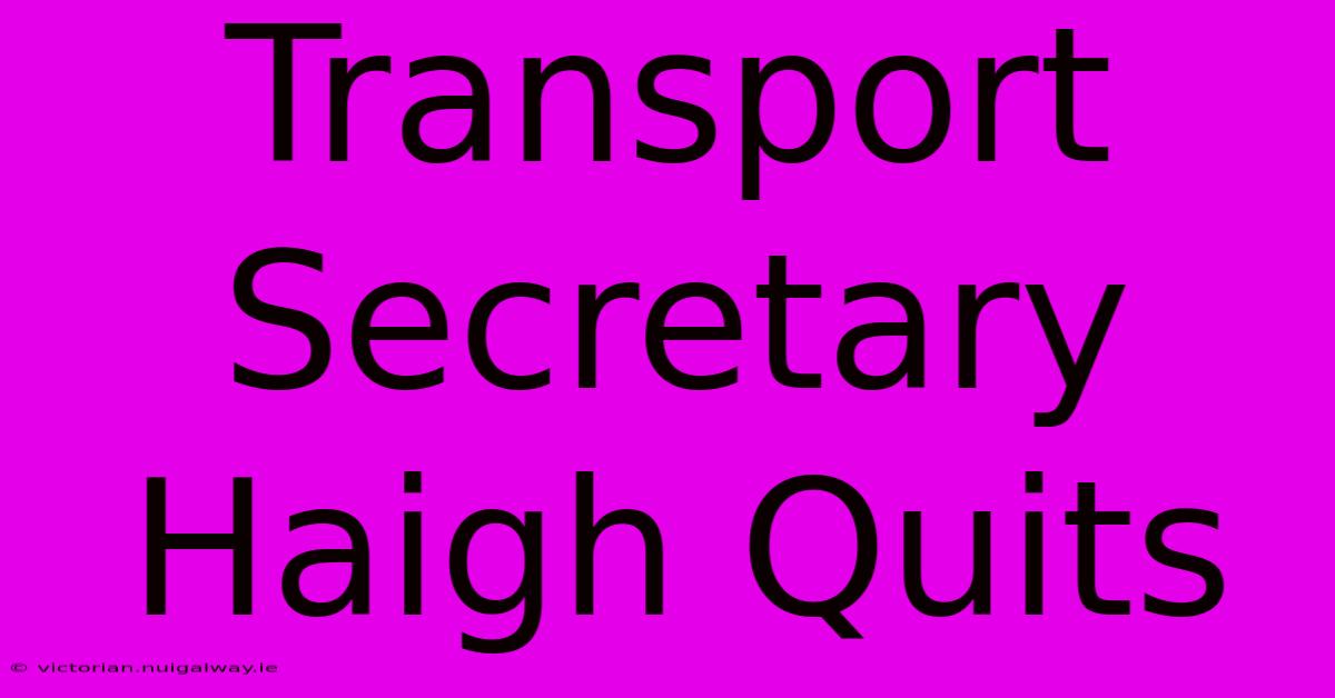 Transport Secretary Haigh Quits