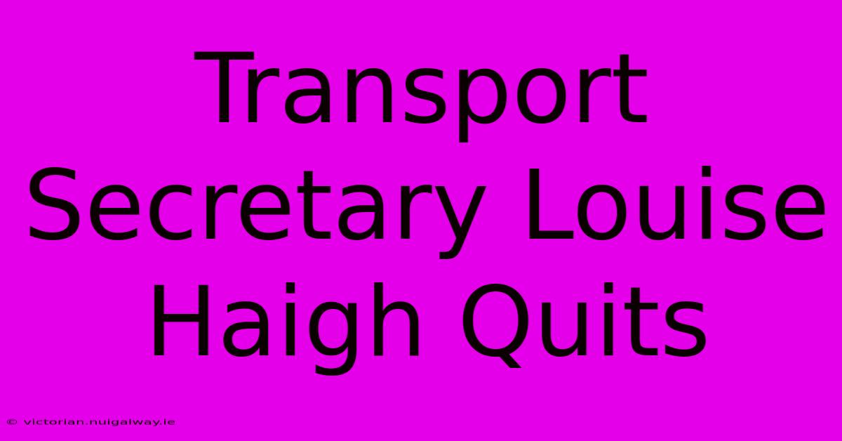 Transport Secretary Louise Haigh Quits