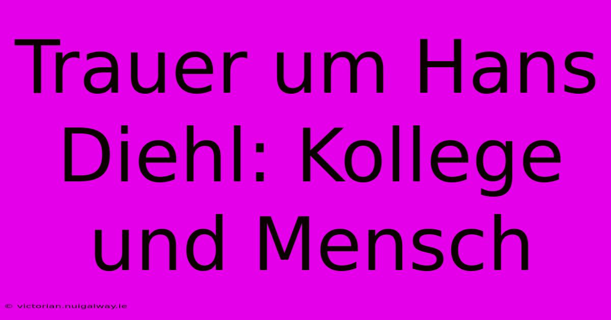 Trauer Um Hans Diehl: Kollege Und Mensch 