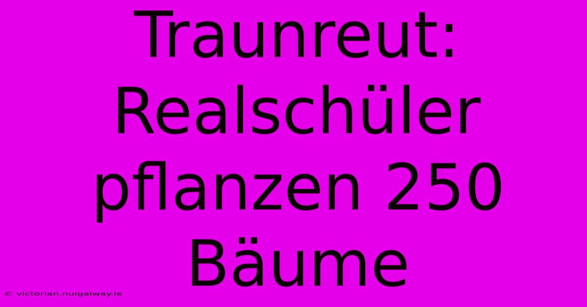 Traunreut: Realschüler Pflanzen 250 Bäume