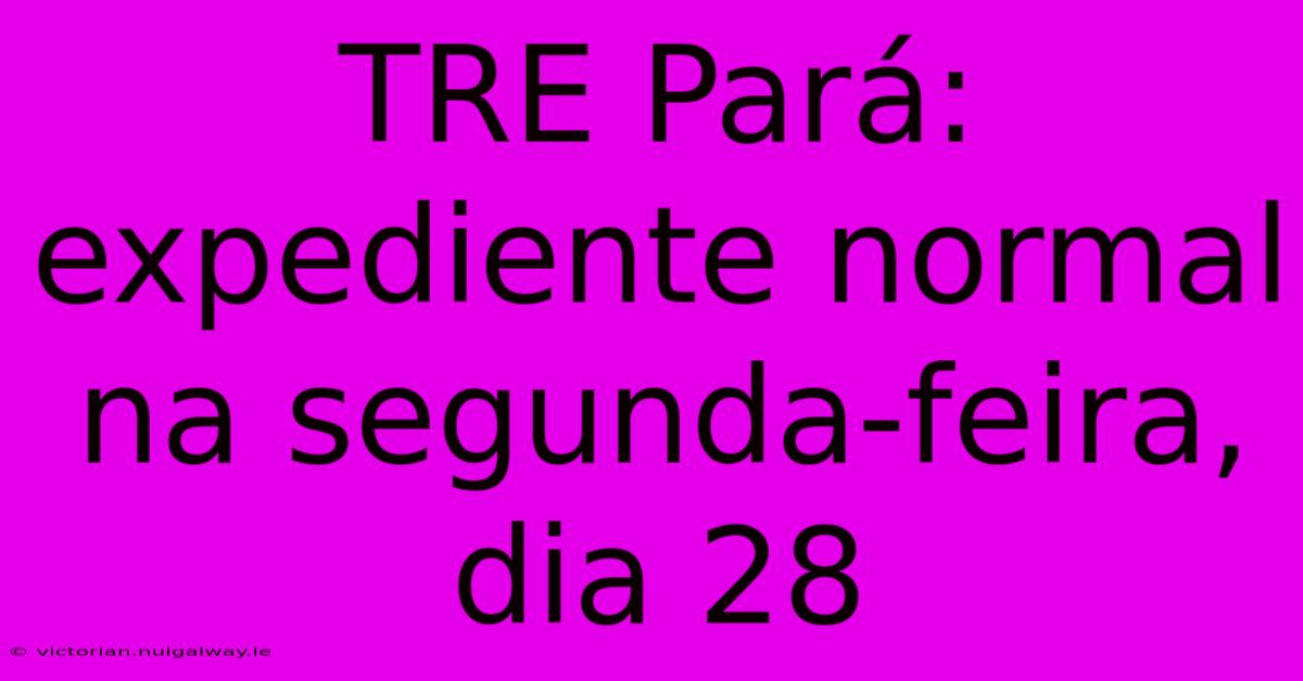 TRE Pará: Expediente Normal Na Segunda-feira, Dia 28