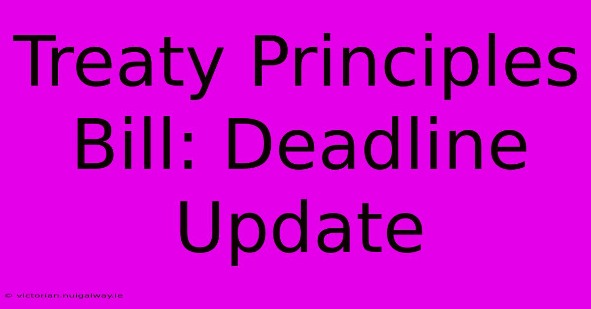 Treaty Principles Bill: Deadline Update