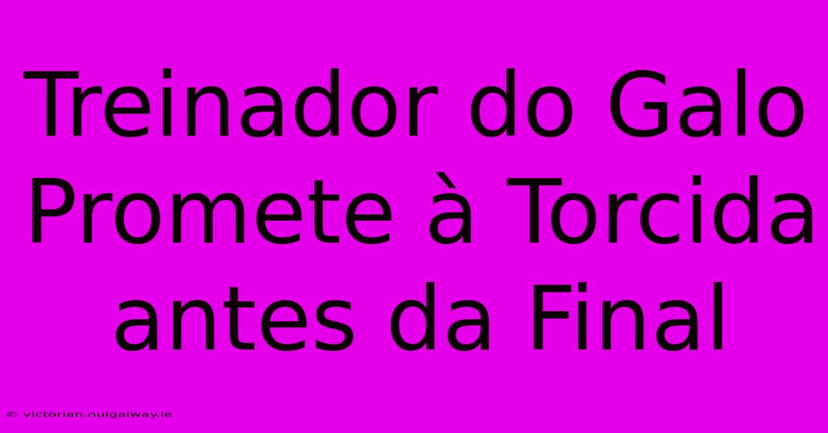 Treinador Do Galo Promete À Torcida Antes Da Final