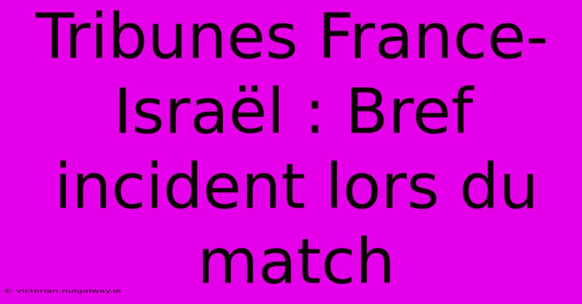 Tribunes France-Israël : Bref Incident Lors Du Match 