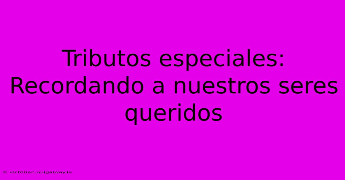 Tributos Especiales: Recordando A Nuestros Seres Queridos