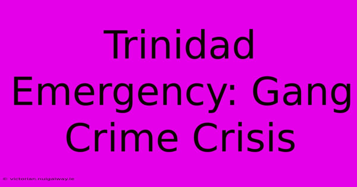 Trinidad Emergency: Gang Crime Crisis