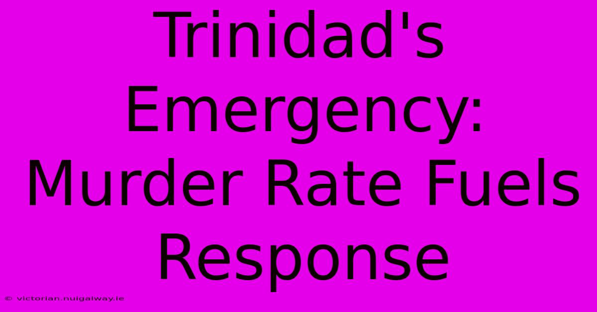 Trinidad's Emergency: Murder Rate Fuels Response