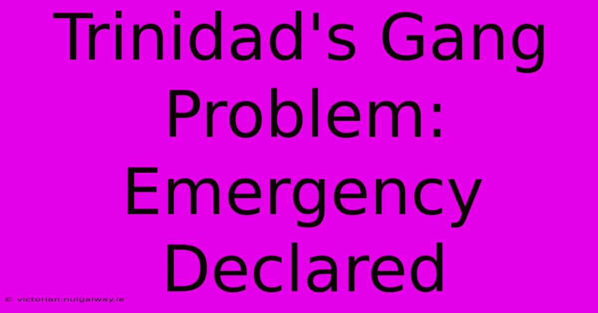 Trinidad's Gang Problem: Emergency Declared