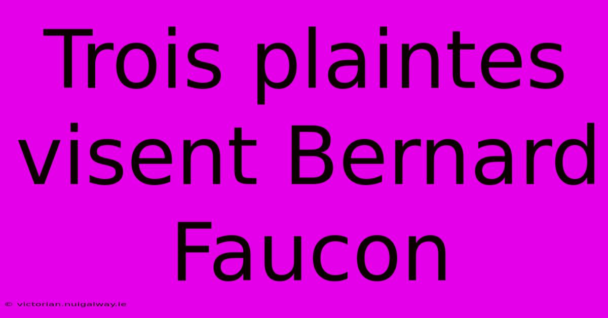 Trois Plaintes Visent Bernard Faucon