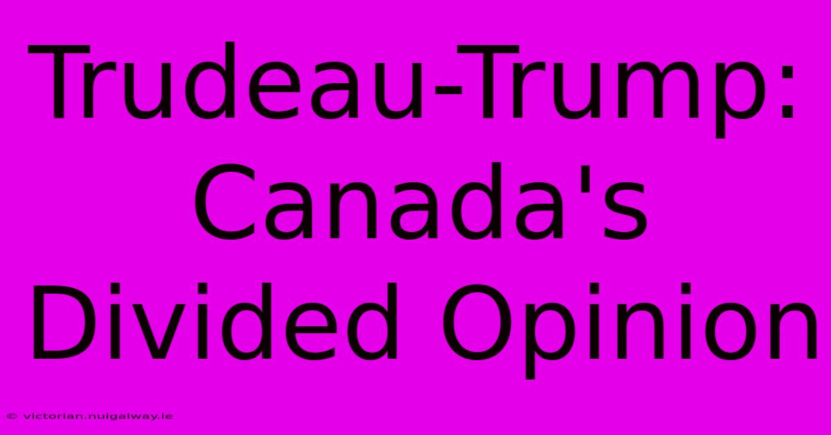 Trudeau-Trump: Canada's Divided Opinion