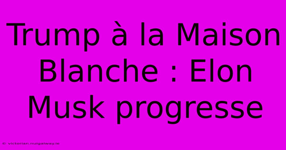 Trump À La Maison Blanche : Elon Musk Progresse