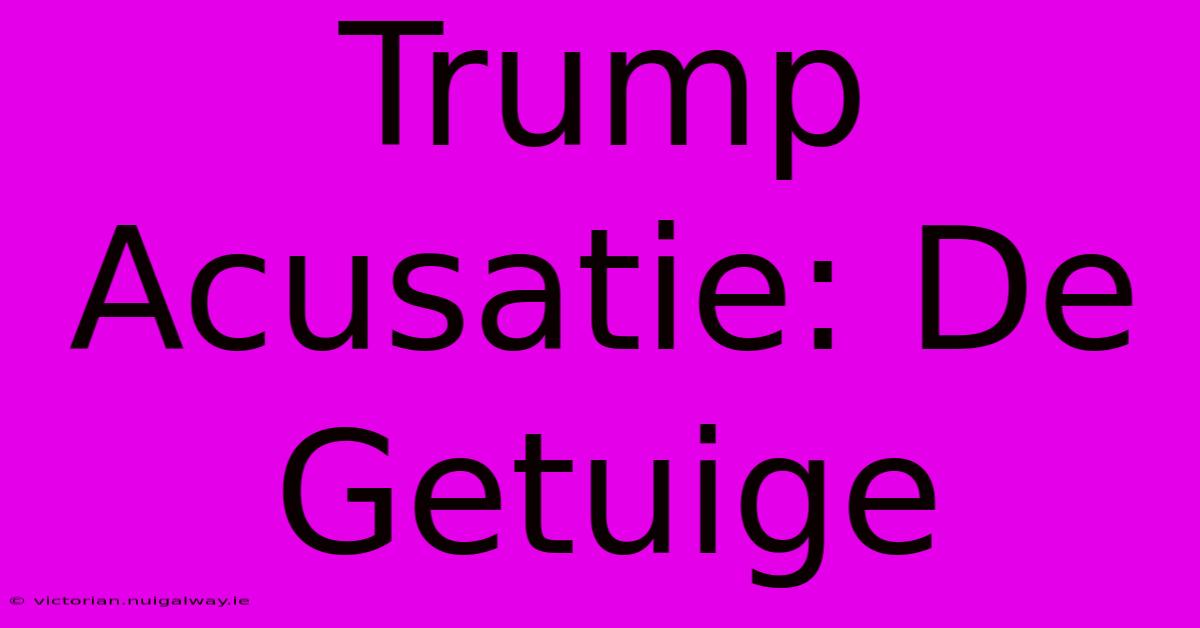 Trump Acusatie: De Getuige 