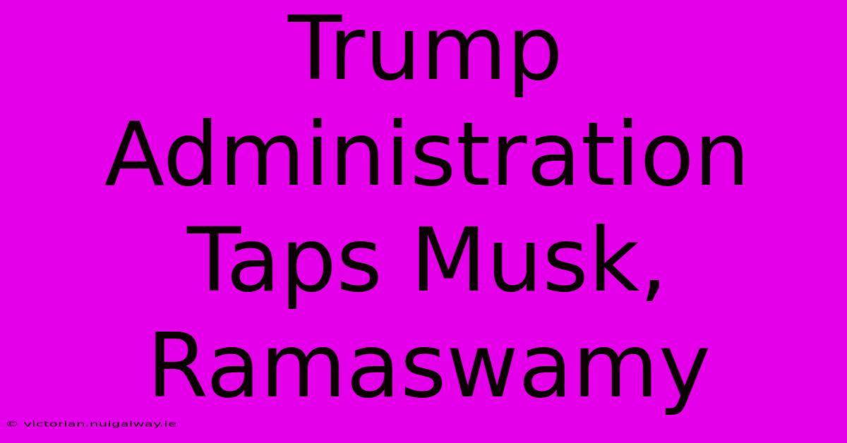 Trump Administration Taps Musk, Ramaswamy