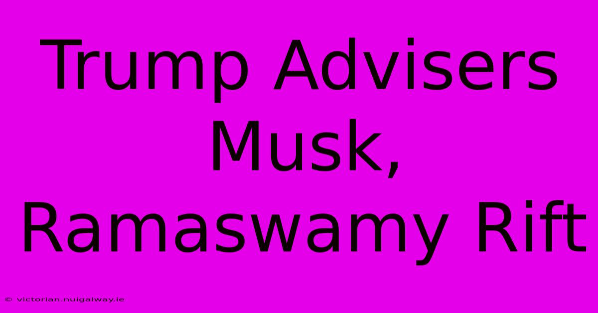 Trump Advisers Musk, Ramaswamy Rift