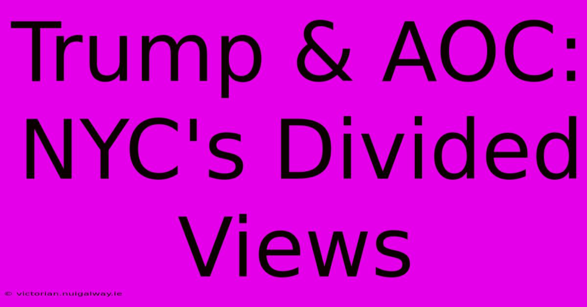 Trump & AOC: NYC's Divided Views