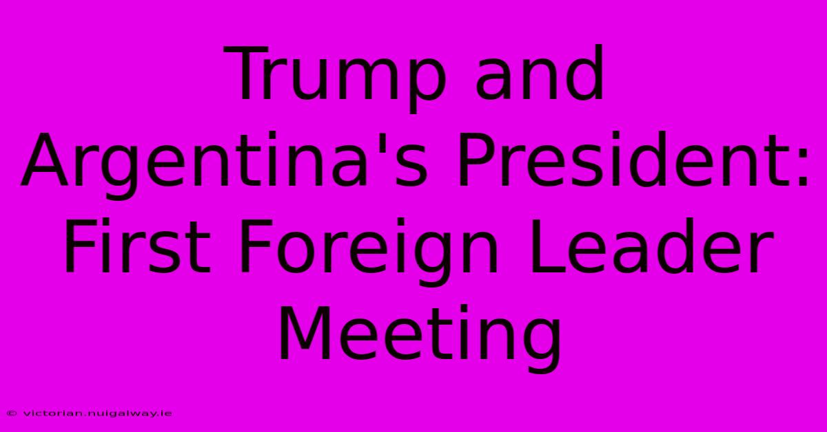 Trump And Argentina's President: First Foreign Leader Meeting 