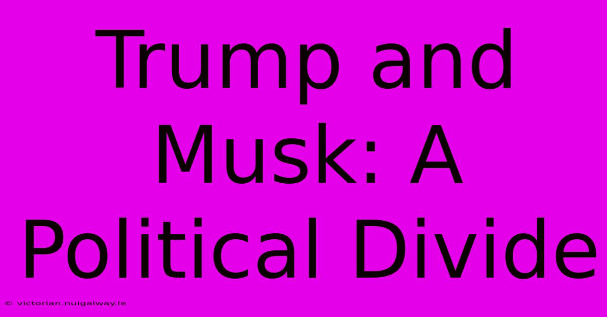 Trump And Musk: A Political Divide