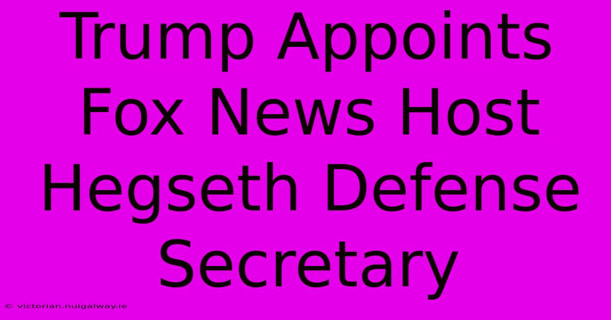 Trump Appoints Fox News Host Hegseth Defense Secretary 