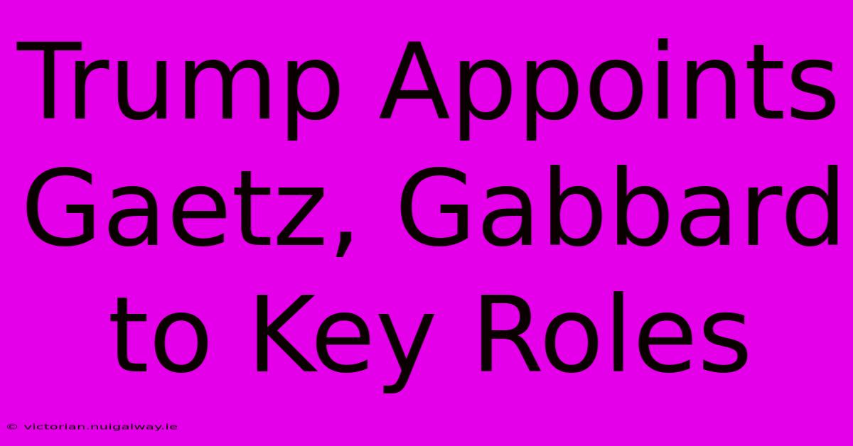 Trump Appoints Gaetz, Gabbard To Key Roles