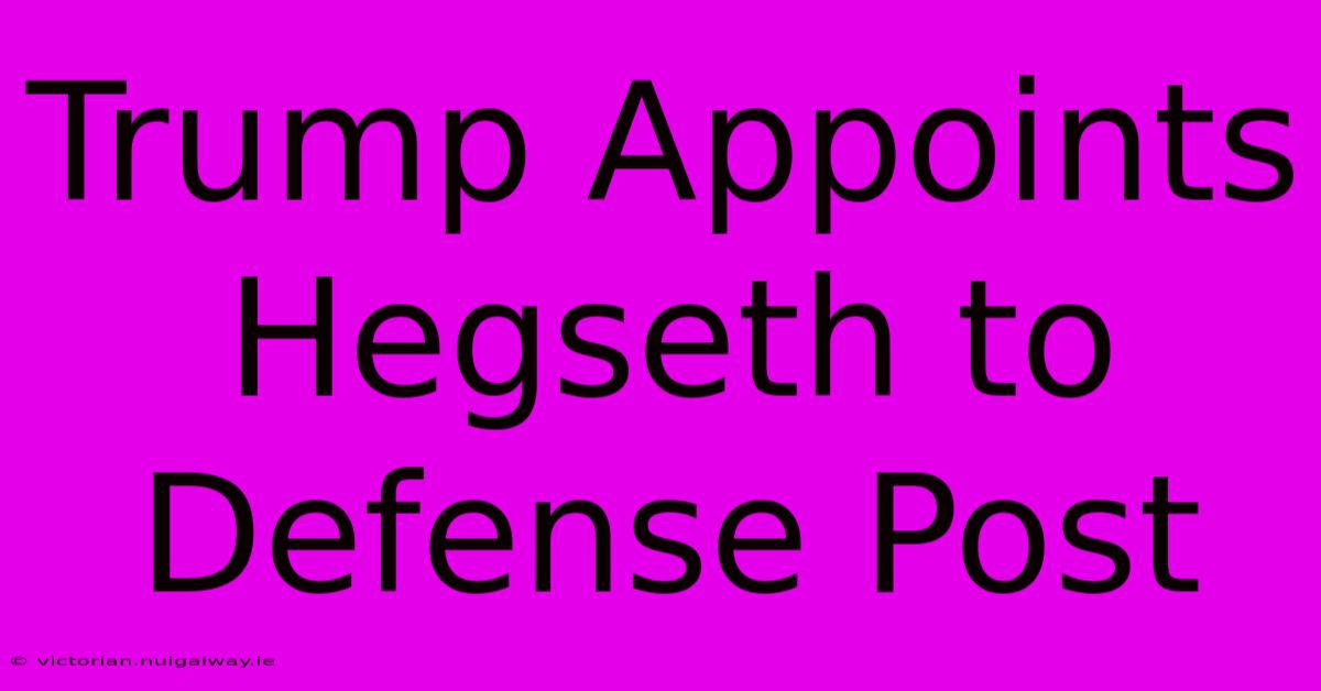 Trump Appoints Hegseth To Defense Post 