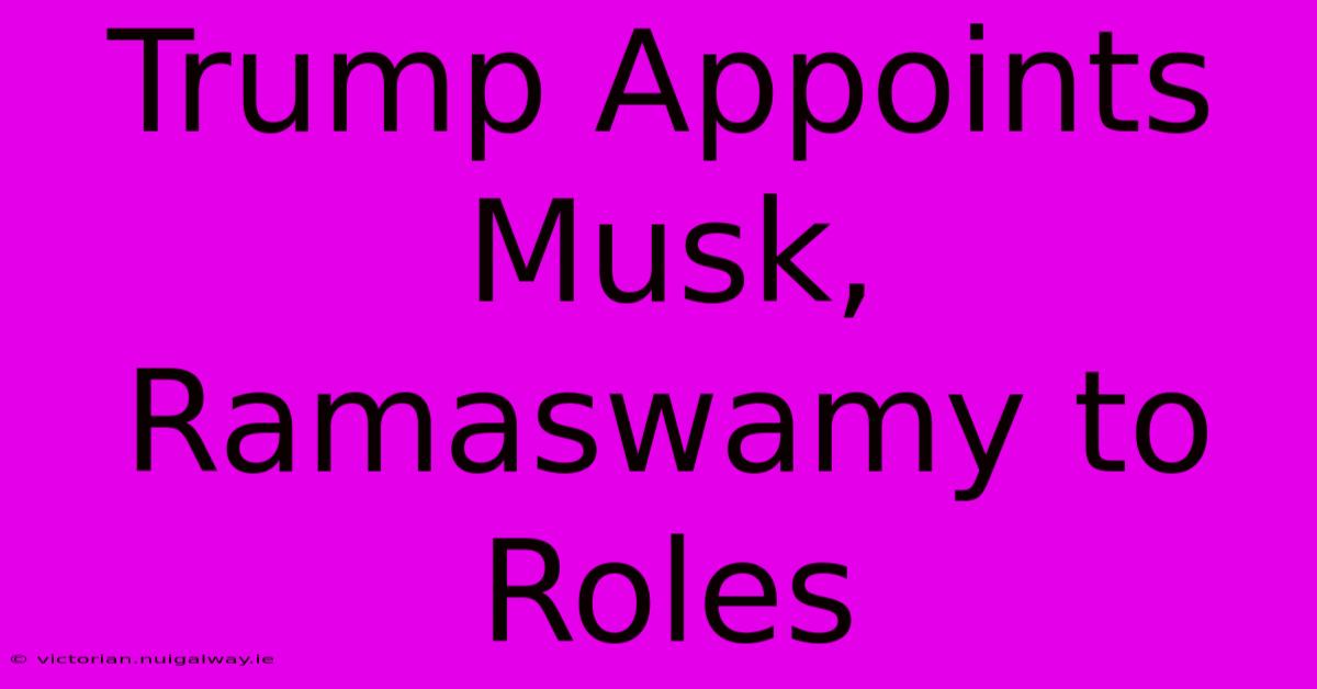 Trump Appoints Musk, Ramaswamy To Roles