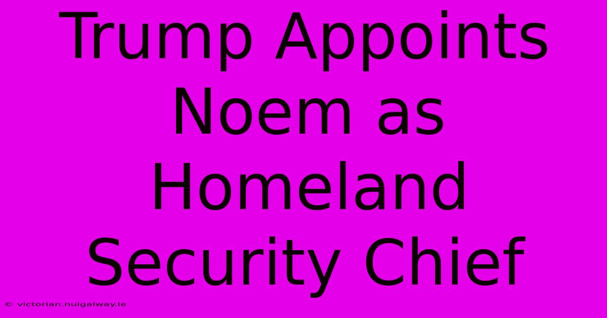 Trump Appoints Noem As Homeland Security Chief 