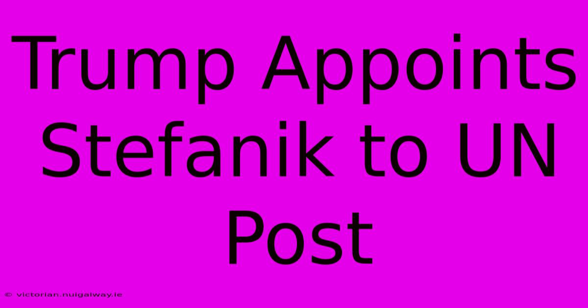 Trump Appoints Stefanik To UN Post 