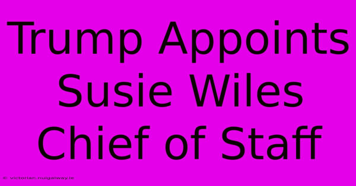 Trump Appoints Susie Wiles Chief Of Staff