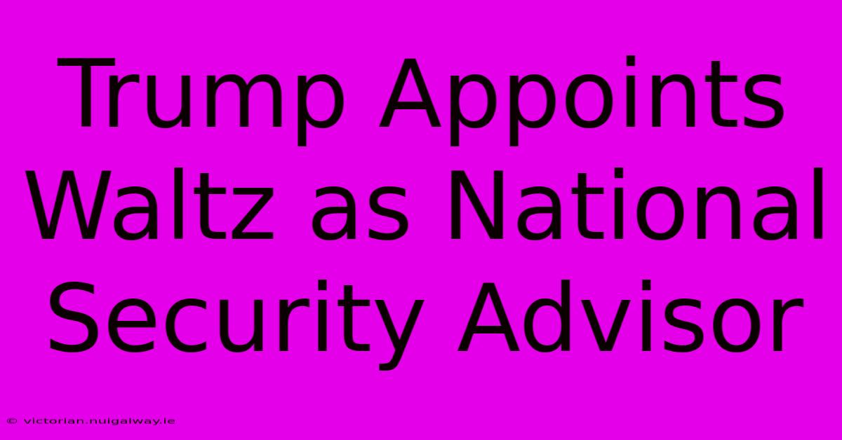 Trump Appoints Waltz As National Security Advisor