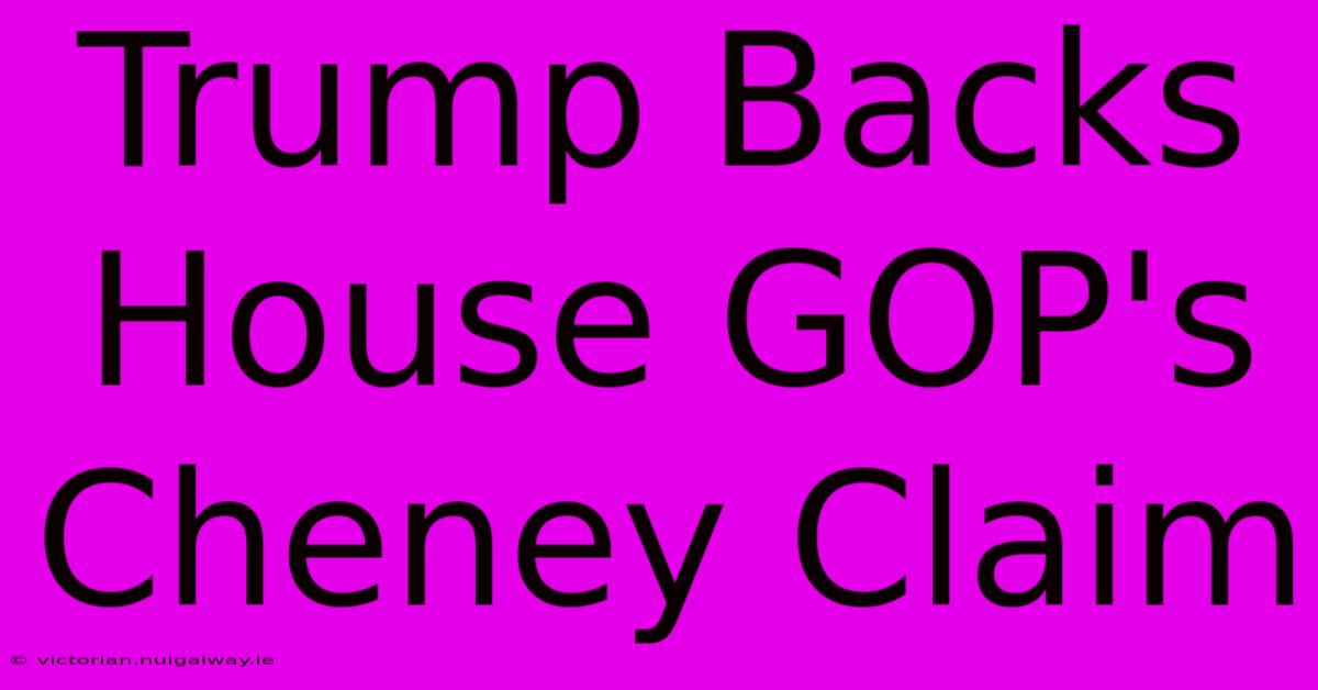 Trump Backs House GOP's Cheney Claim