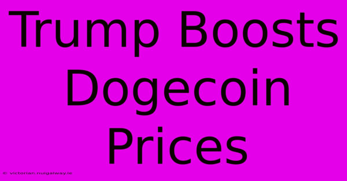 Trump Boosts Dogecoin Prices 