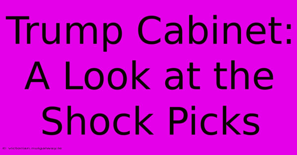 Trump Cabinet: A Look At The Shock Picks