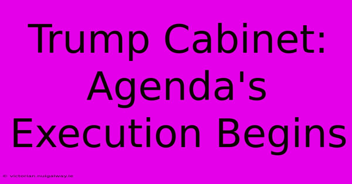 Trump Cabinet: Agenda's Execution Begins