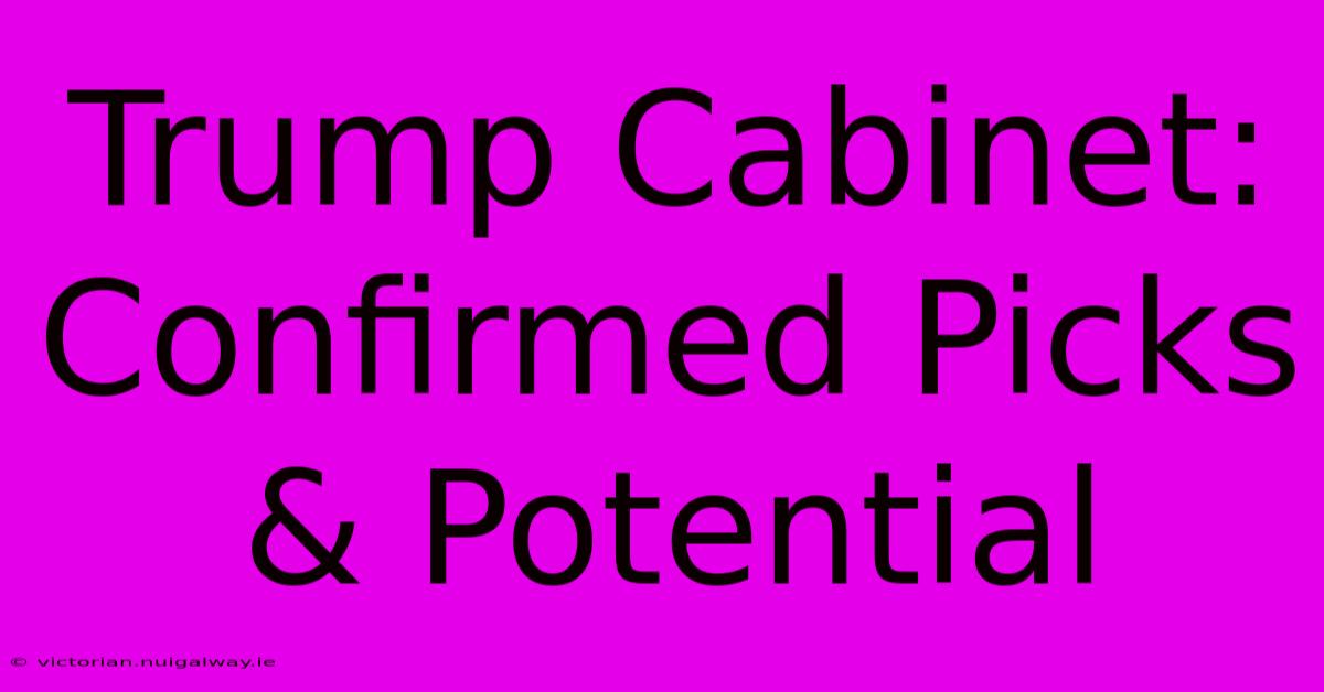 Trump Cabinet: Confirmed Picks & Potential 