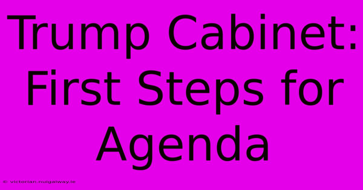 Trump Cabinet: First Steps For Agenda