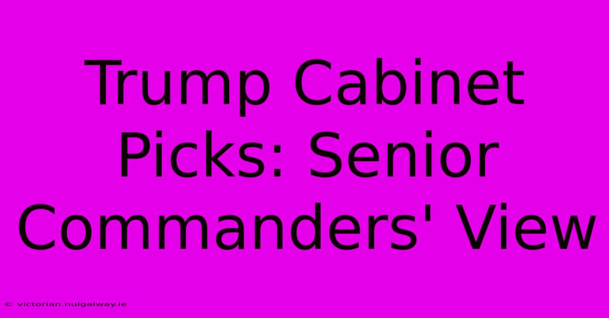 Trump Cabinet Picks: Senior Commanders' View 