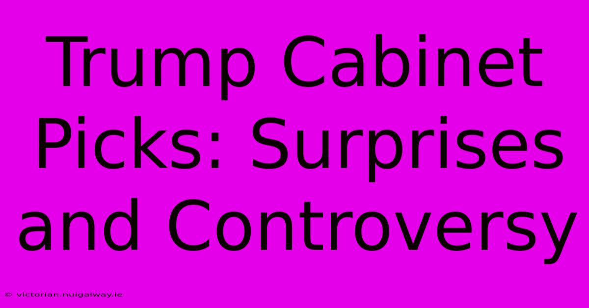 Trump Cabinet Picks: Surprises And Controversy