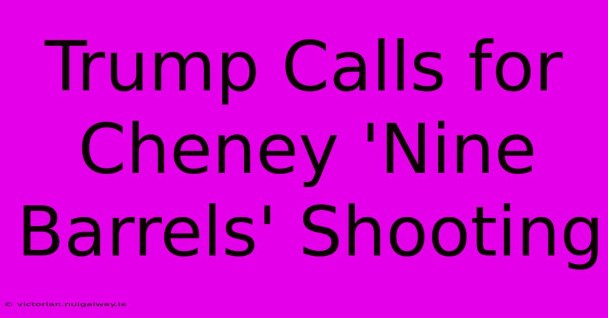 Trump Calls For Cheney 'Nine Barrels' Shooting 