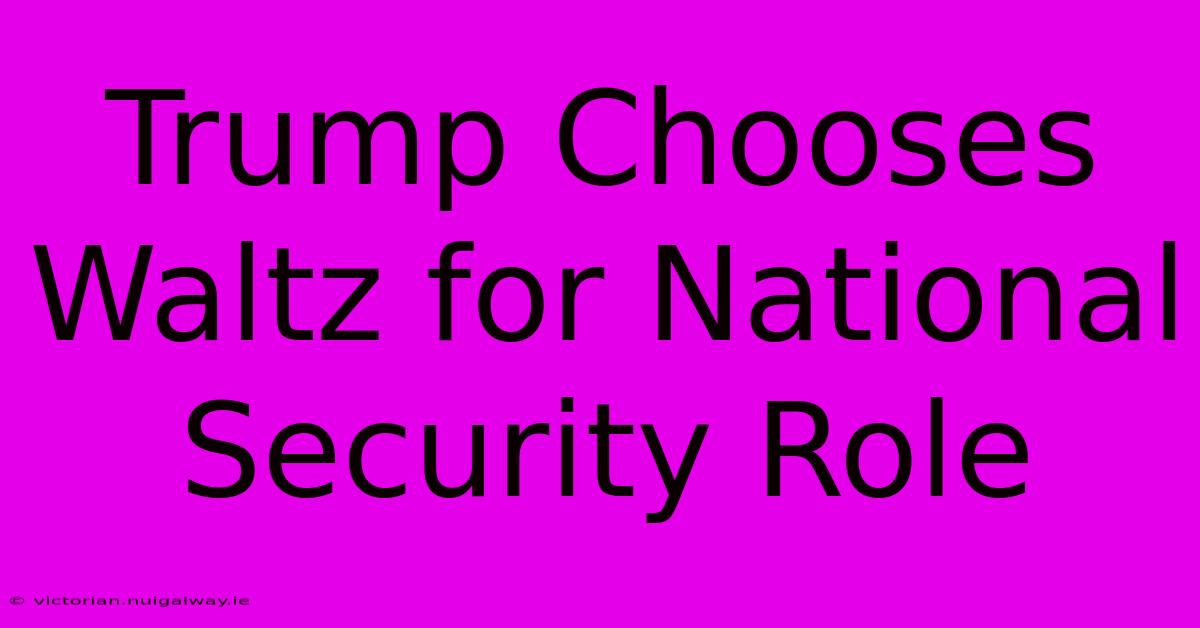 Trump Chooses Waltz For National Security Role