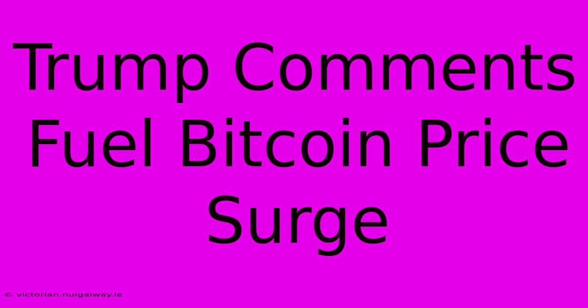 Trump Comments Fuel Bitcoin Price Surge 